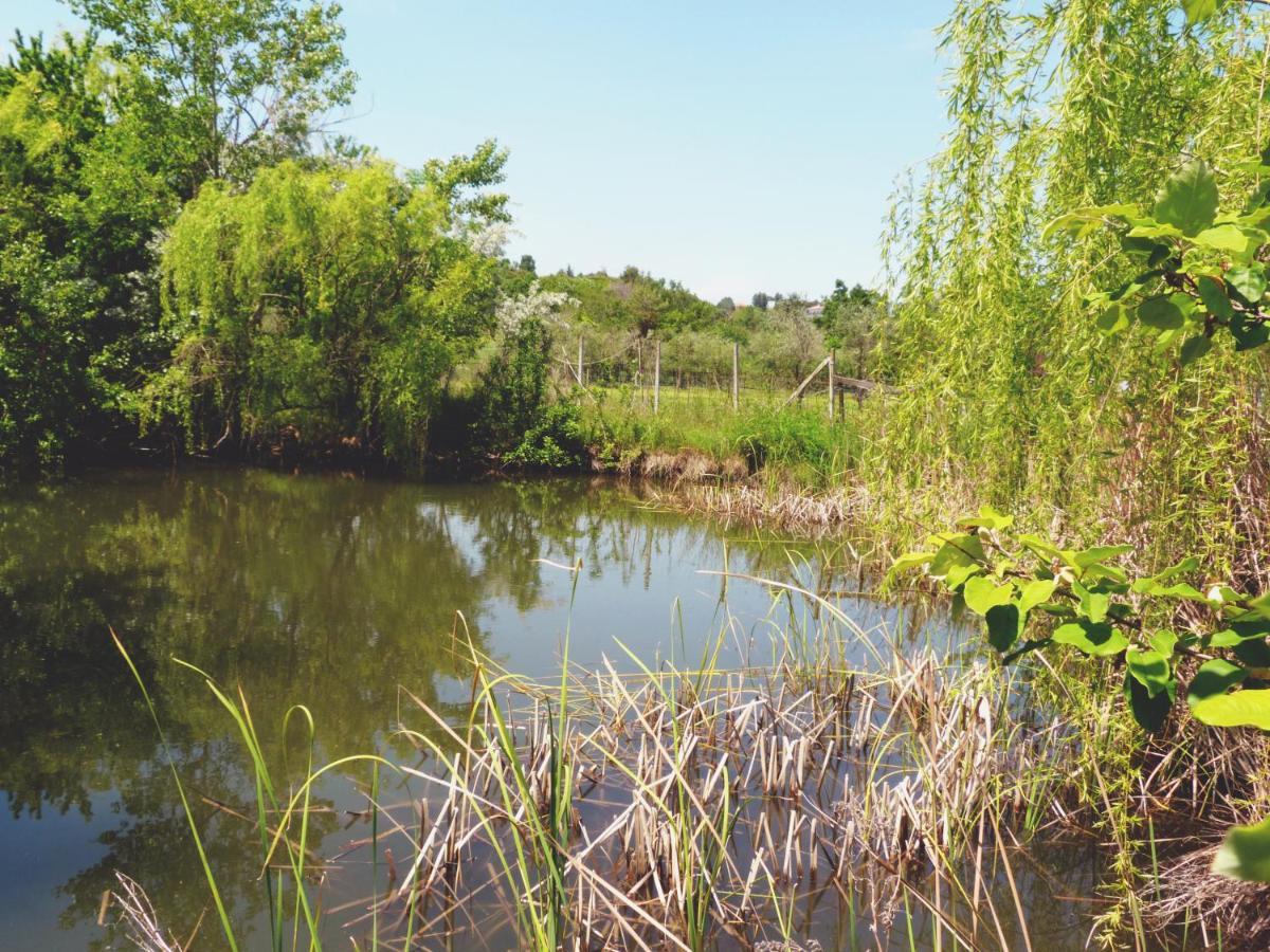 Willa Pian Del Pigro Rimini Zewnętrze zdjęcie